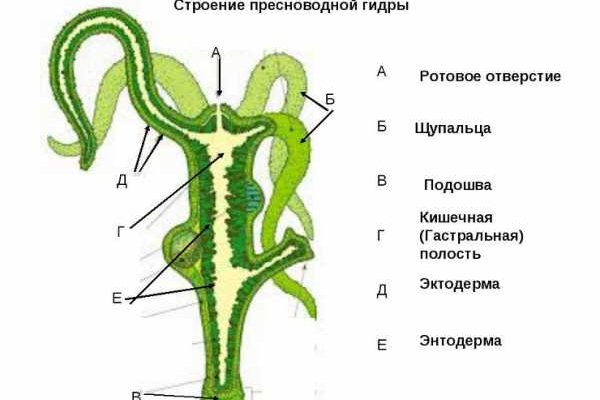 Kraken маркетплейс