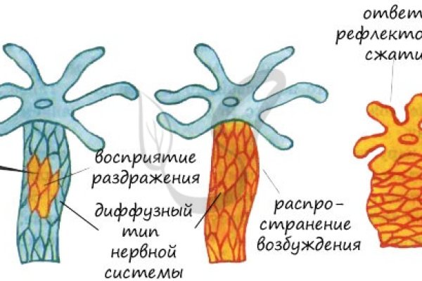 Дарк нет кракен